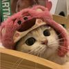 ing_23211