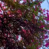 nourano78