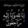 user9250810948845