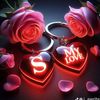 gamseng312