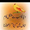 nafrat896