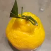 tatiana_ipoteka