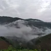 giava88