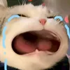 _.tuanminh97