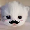 yphuohknlof