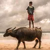 nhan.nguyen3681