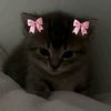 lika_love208