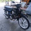 nafishanan956