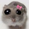hyunjin.jk4