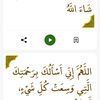 user354294232031