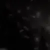 bgrea1perrsznn