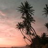 patahansamping