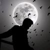 muhamed.shareef49