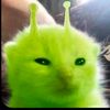 asma.usman622