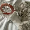 psychofanka_kpopiarka