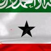 qaysada