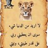 user3523261532886