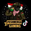 peshmerga_gaming