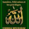 mohamed.alpha.dial