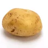 potato.girl25