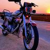 feras_1501