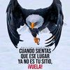 user813205980371