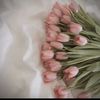 maryem.fadel8