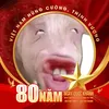 minhngoc23568
