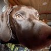 jackthegsp_