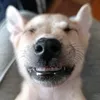 jeoenglatera