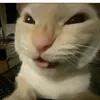 itsyogurlashyyy