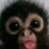 paul_wilfredo