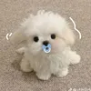 thanh.hoai559