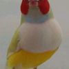vsumon.md