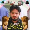 mnaveedsanwl