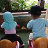 syafaat6092
