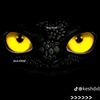 s.s.blacky