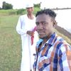 user80101419553742