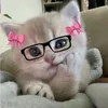 fine_shyt72