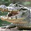 frndy526