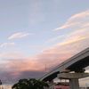 _doami
