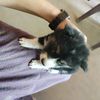 chan.myat.min.mau