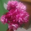 skyangle228