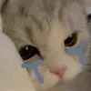 ko.thichmay