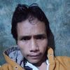 novitaalestari0