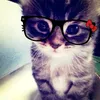 nhonay_bidien_a