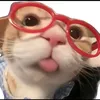 pqnhu_009