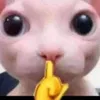 skibiditoiletbetbet00