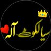 hassan_silakot100001