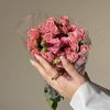 .🦩♥️﮼مصممه ﮼مهند